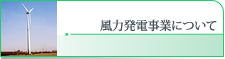 風力発電事業